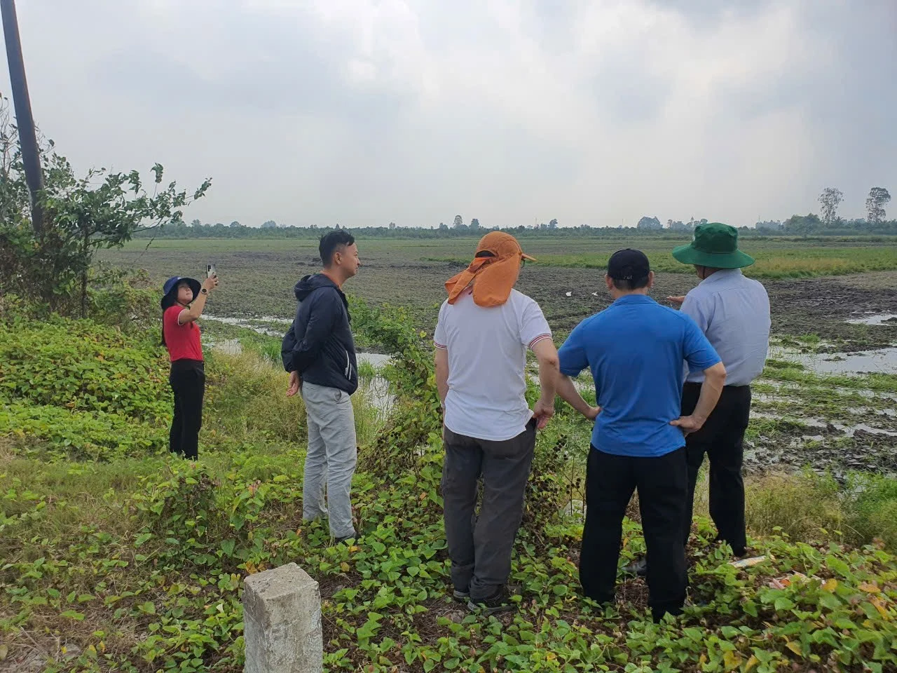 Đội ngũ thực địa KMVE