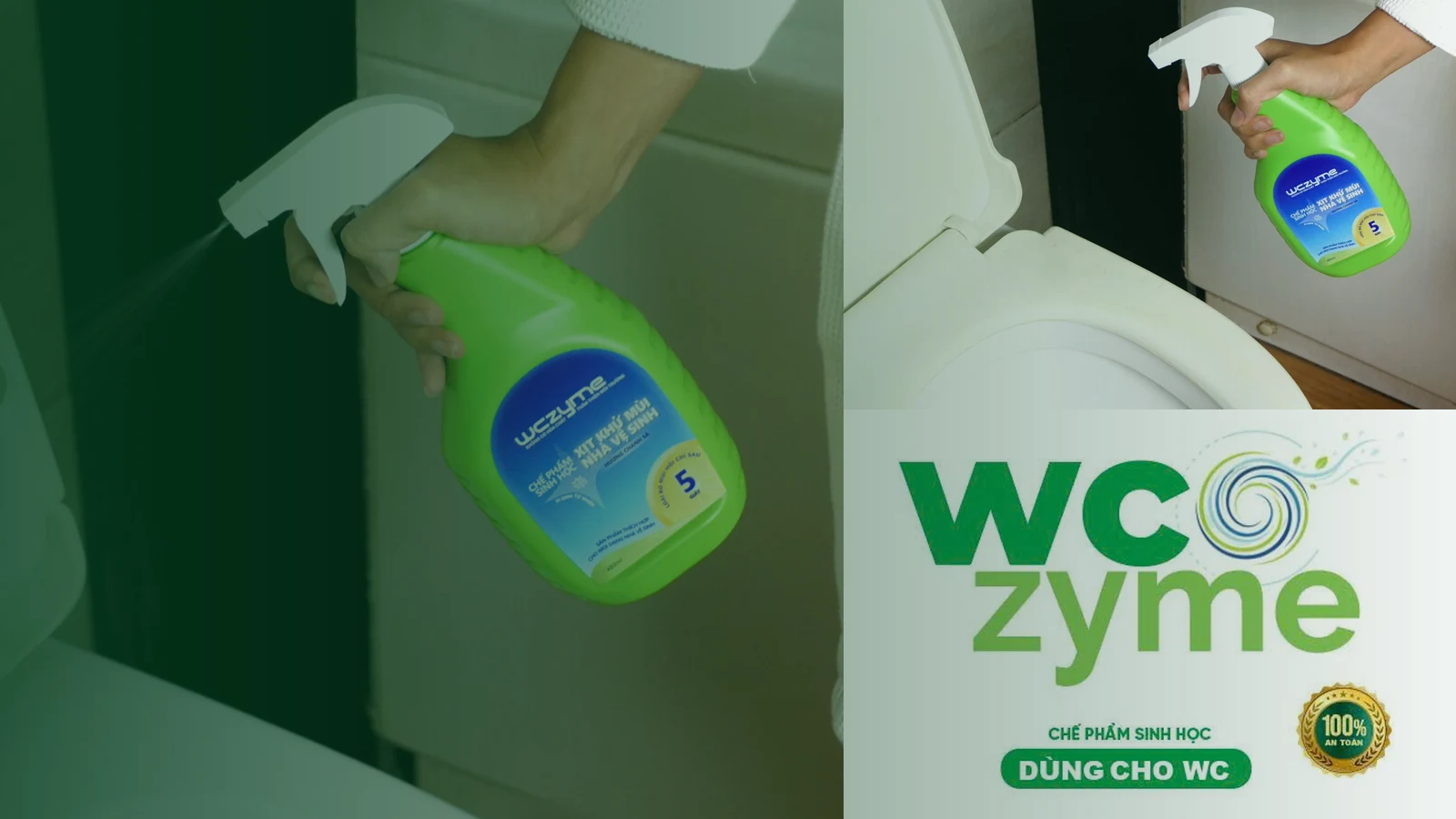 WCzyme